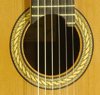 Albert & M&uuml;ller Fusion Classical Guitar cedar, rosewood, cutaway, AER-pickup
