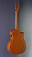 Tanglewood Steelstring Dreadnought-Form, Mahagoni, Pickup und Cutaway, R&uuml;ckansicht