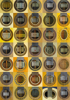 Rosetten und Schilder von Gitarrenbauern